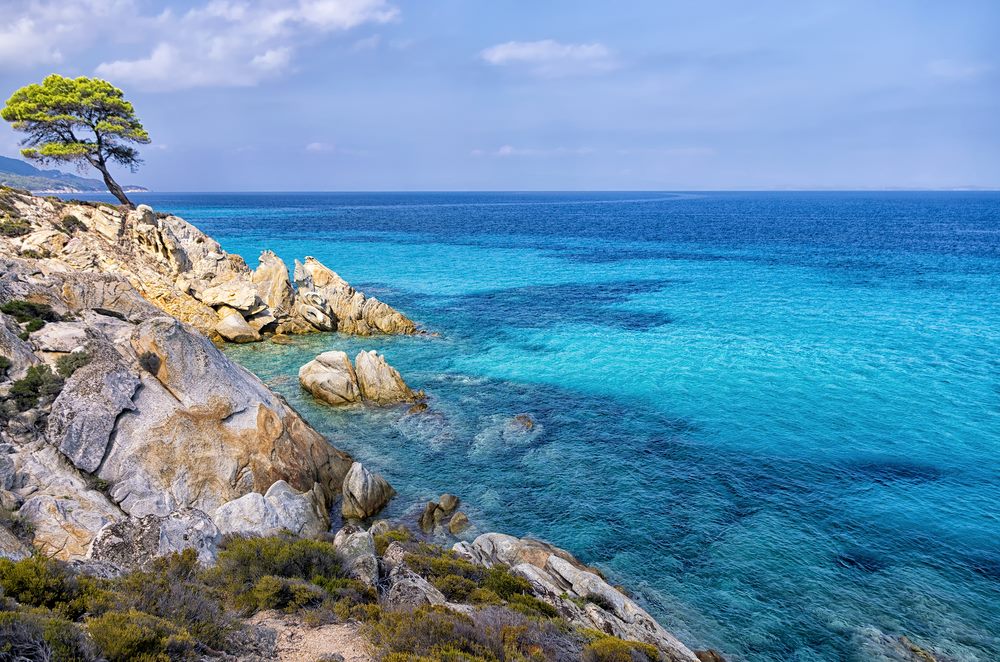  Orange Kavourotripes Portokali Sitonija 